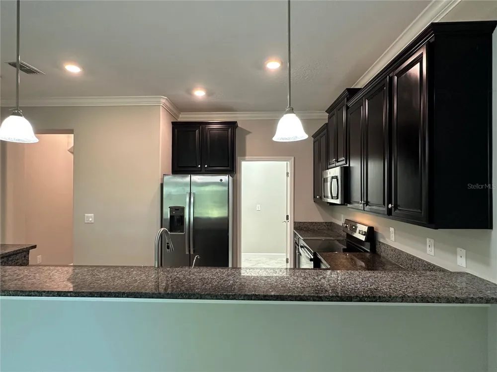 1389 WHITE FOX RUN Lutz, FL 33549