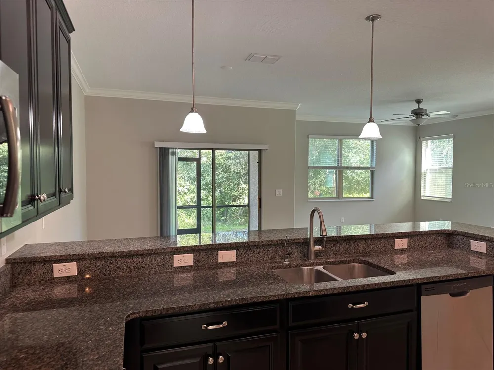 1389 WHITE FOX RUN Lutz, FL 33549