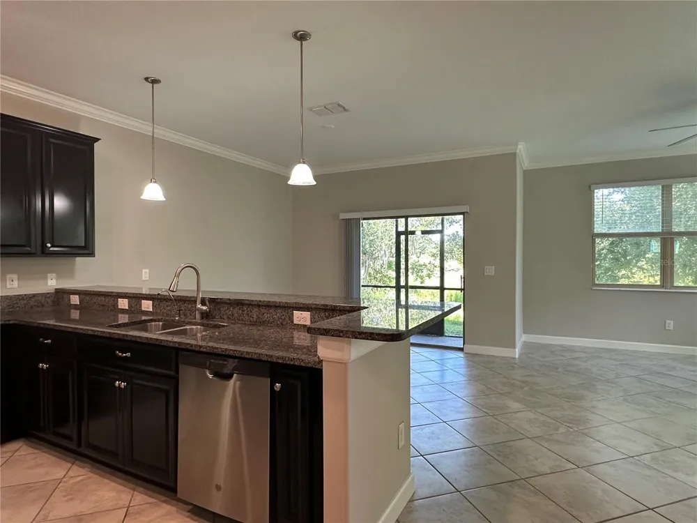 1389 WHITE FOX RUN Lutz, FL 33549