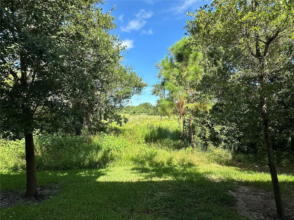 1389 WHITE FOX RUN Lutz, FL 33549
