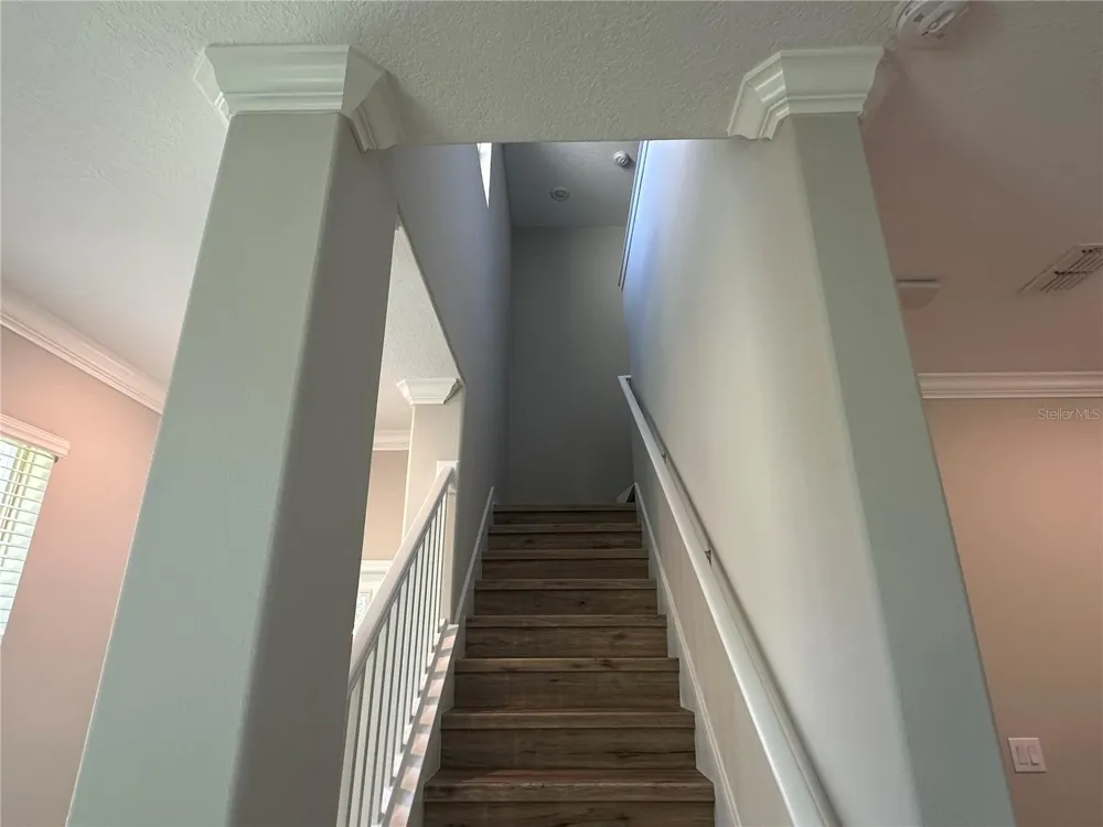1389 WHITE FOX RUN Lutz, FL 33549
