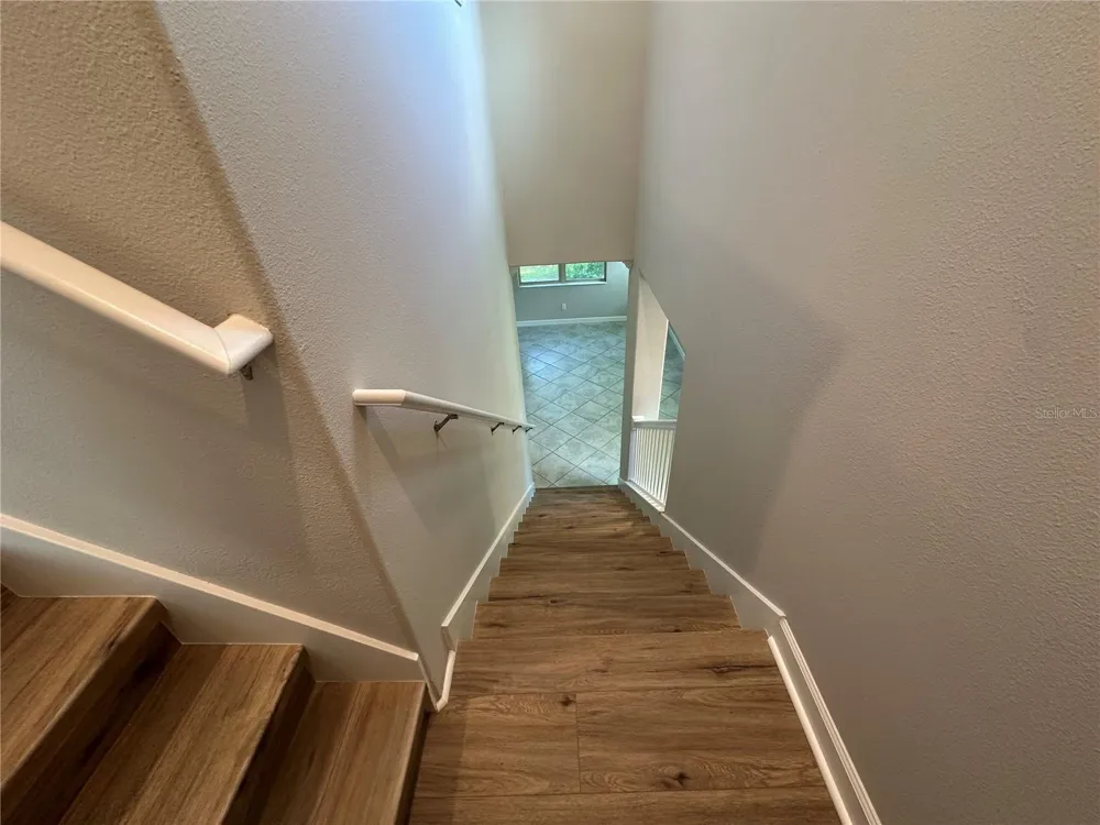 1389 WHITE FOX RUN Lutz, FL 33549