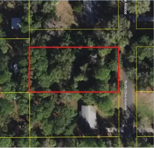 3408 OLIVE AVENUE Crystal River, FL 34428