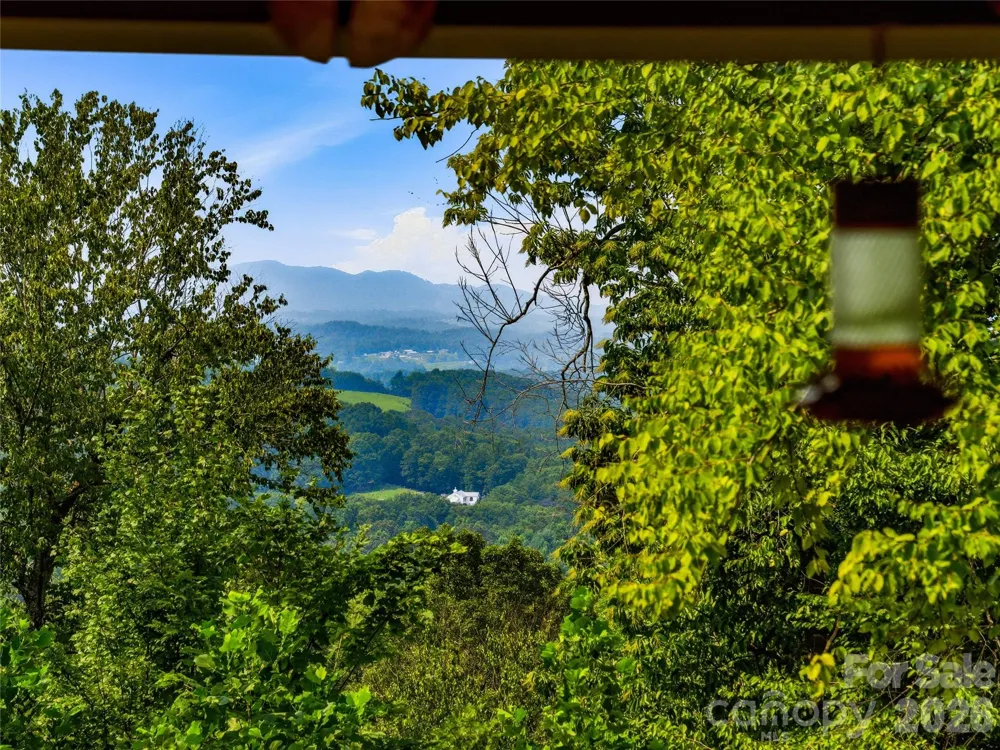 226 High Top Mountain Road Leicester, NC 28748