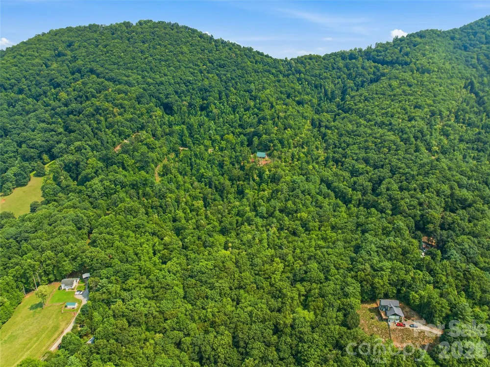 226 High Top Mountain Road Leicester, NC 28748