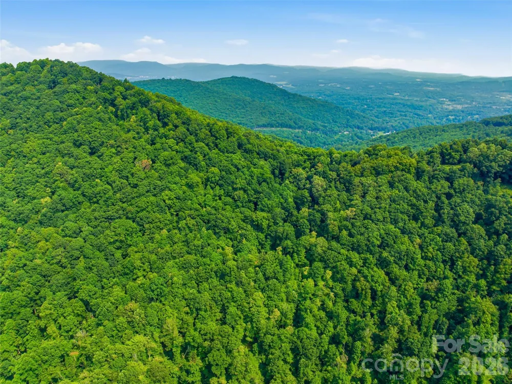 226 High Top Mountain Road Leicester, NC 28748