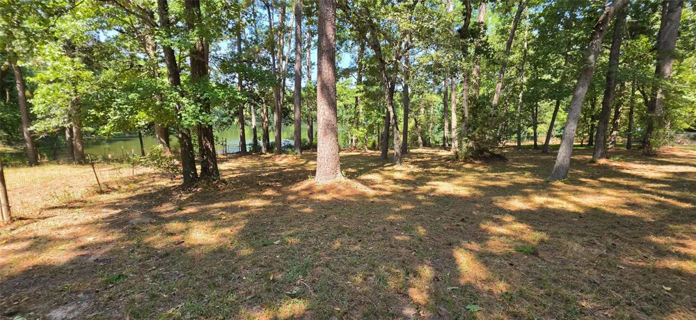 13919 Cecala Drive Montgomery, TX 77356