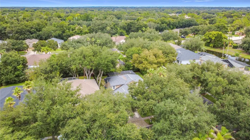 5846 BENT GRASS DRIVE Valrico, FL 33596