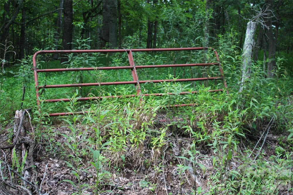 PLT 3 Scenic View Drive Green Mountain, NC 28740
