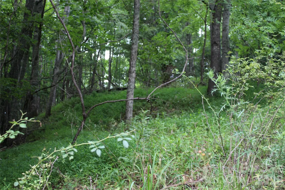 PLT 3 Scenic View Drive Green Mountain, NC 28740