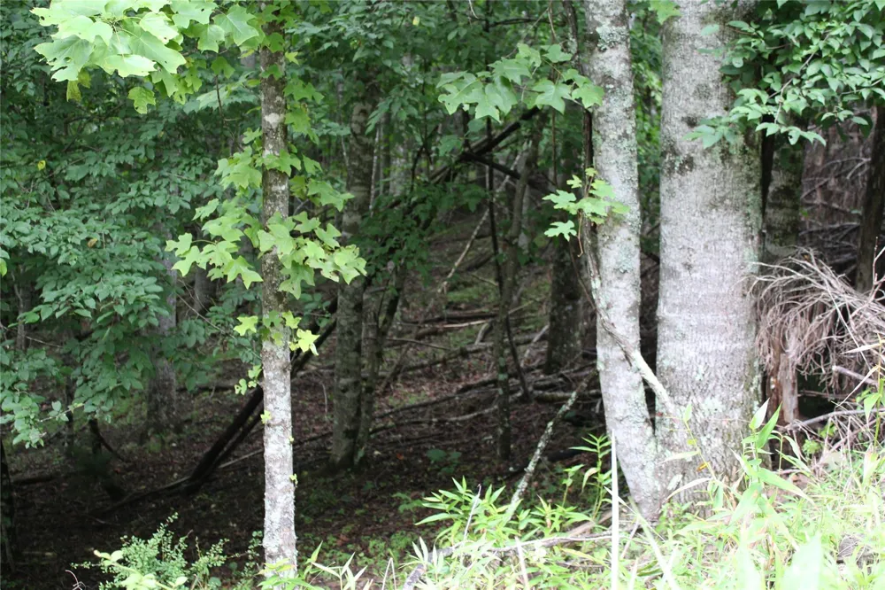PLT 3 Scenic View Drive Green Mountain, NC 28740