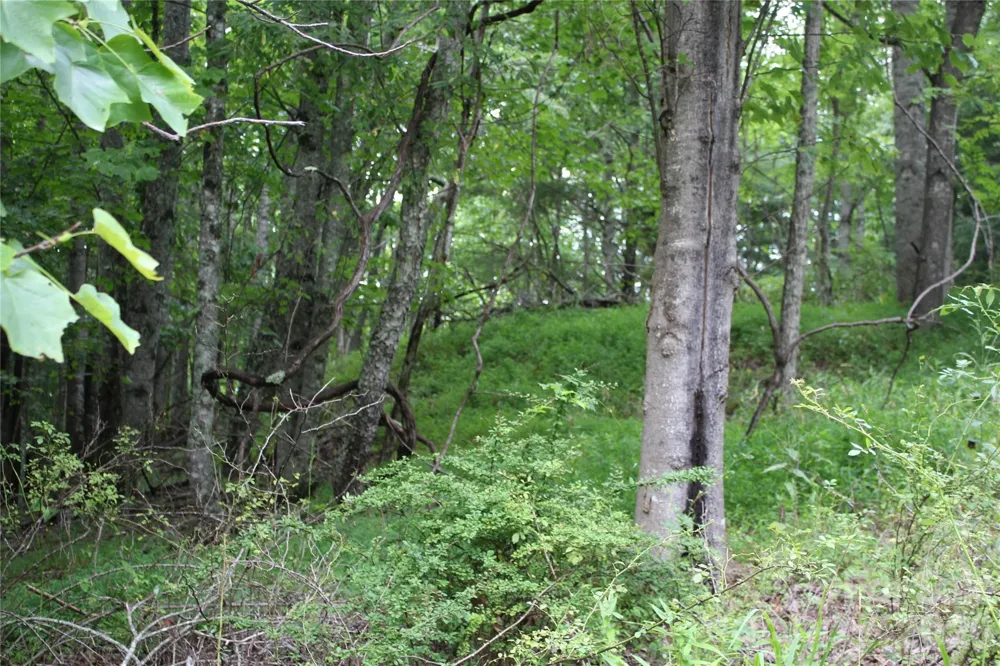 PLT 3 Scenic View Drive Green Mountain, NC 28740