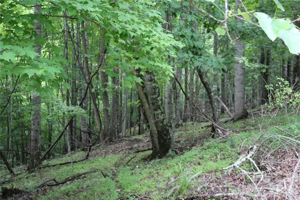 PLT 3 Scenic View Drive Green Mountain, NC 28740