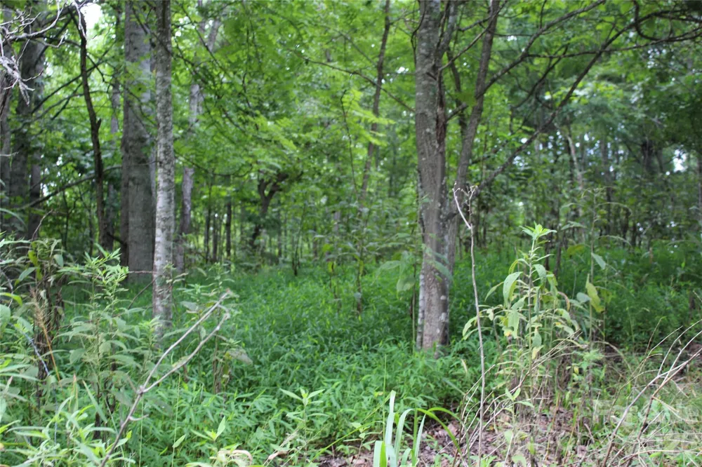 PLT 3 Scenic View Drive Green Mountain, NC 28740