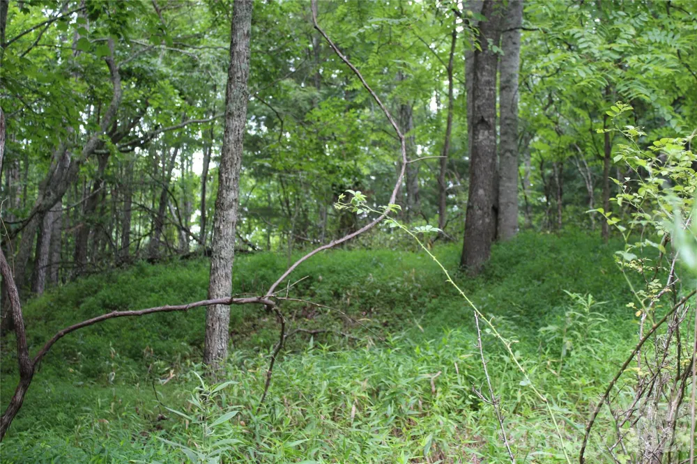 PLT 3 Scenic View Drive Green Mountain, NC 28740