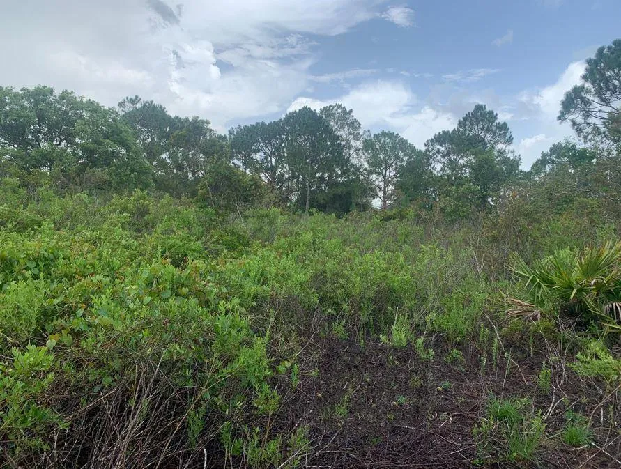 4105 Nogales Avenue Sebring, FL 33872
