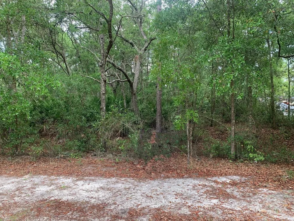 209 Highline Trail 