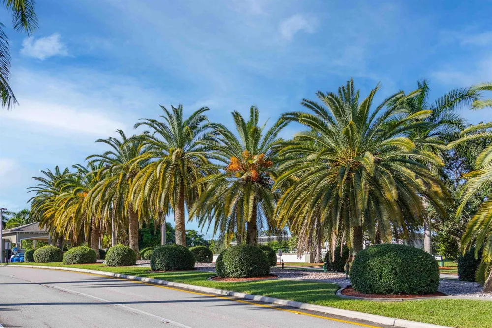 2201 Lucaya Bend #M2 Coconut Creek, FL 33066