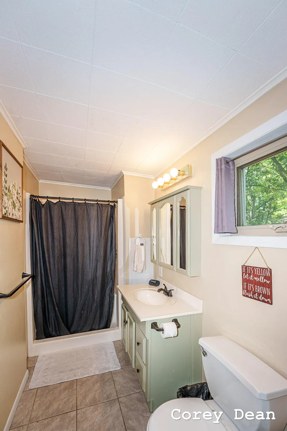 10580 Round Lake Drive Morton Township, MI 49332