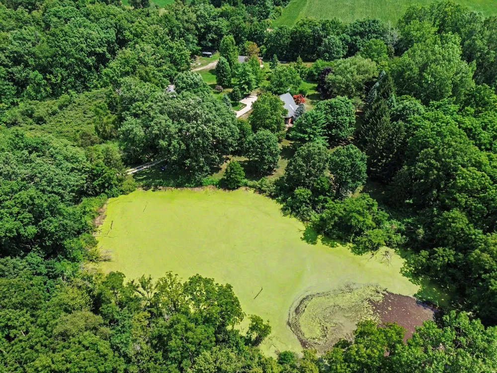 10599 Fleming Road Dexter, MI 48130
