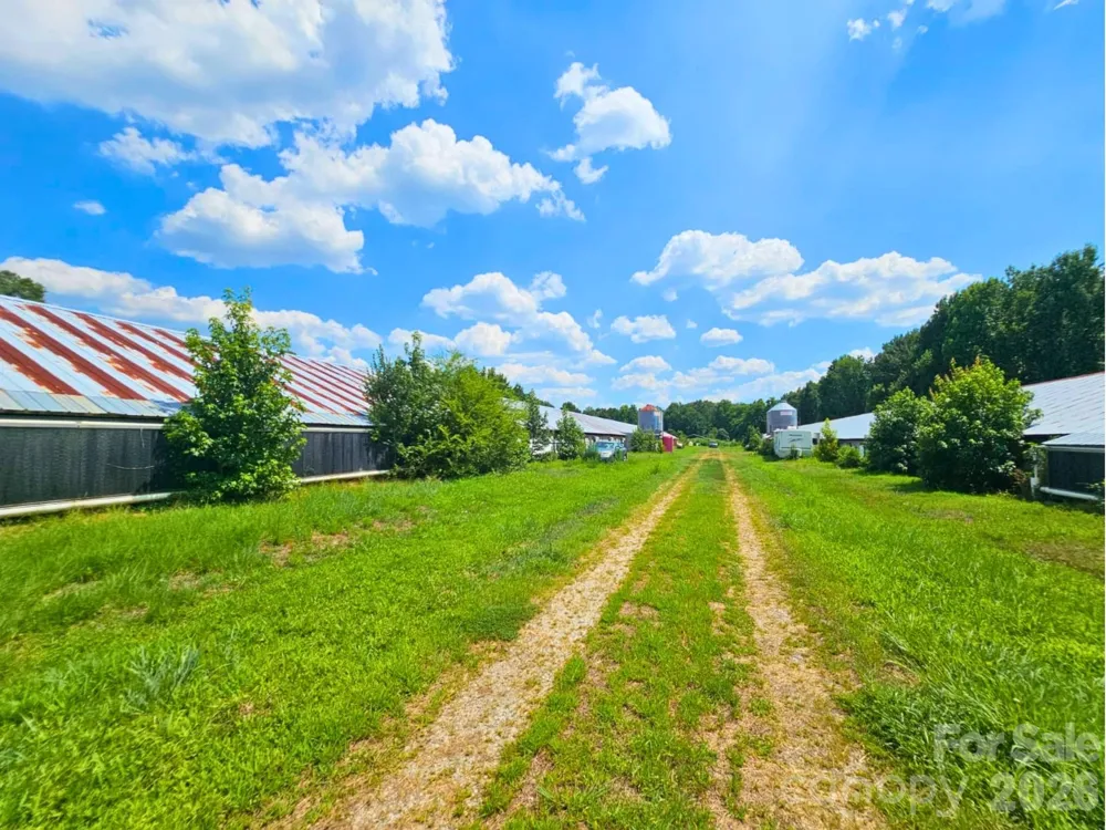 3145 Upper White Store Road #381 Peachland, NC 28133