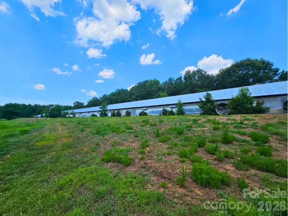3145 Upper White Store Road #381 Peachland, NC 28133