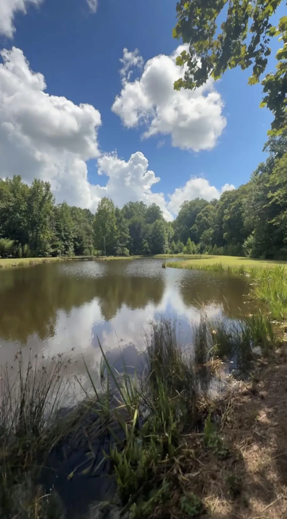 605 County Road 48 Athens, TN 37303