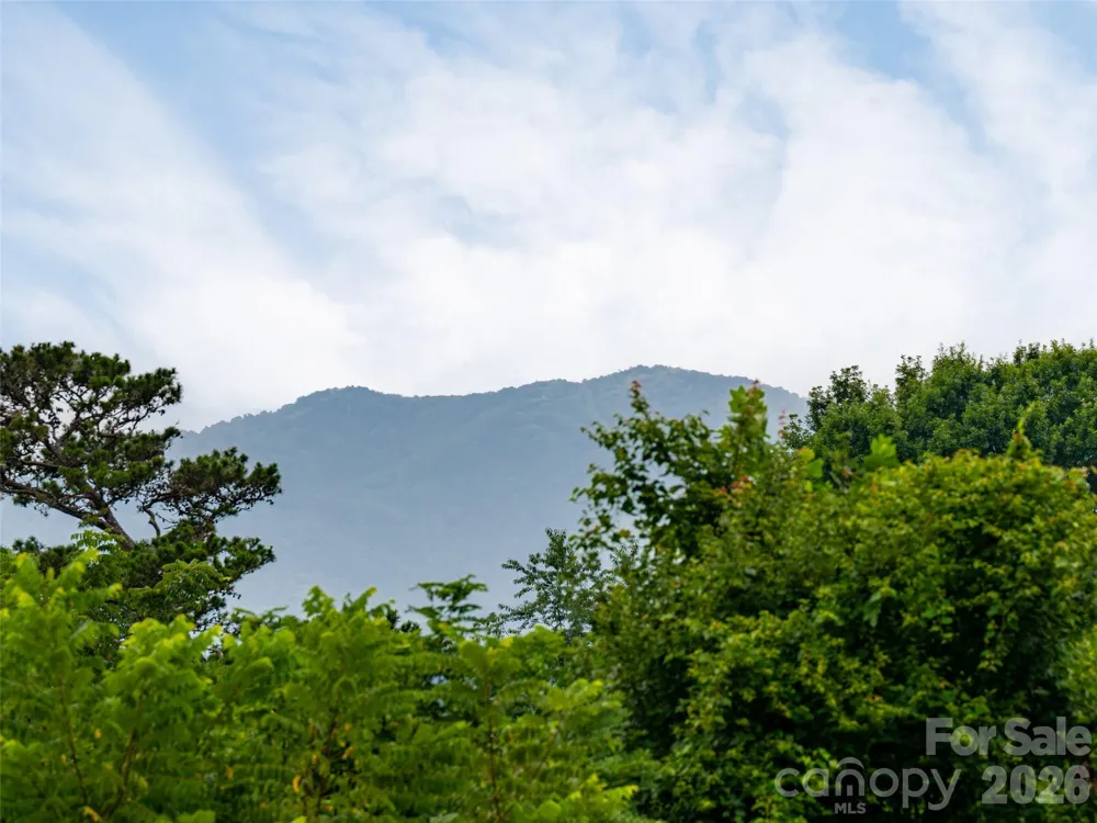 3804 Florham Place Asheville, NC 28806