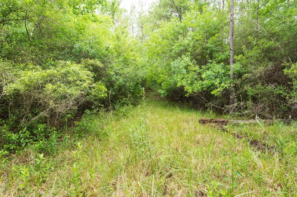 Fm 770 Kountze, TX 77625