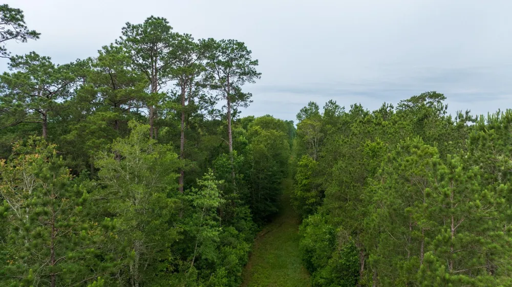 Fm 770 Kountze, TX 77625