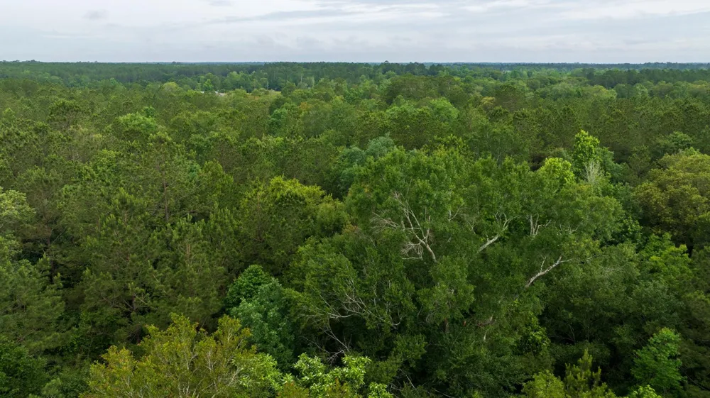 Fm 770 Kountze, TX 77625