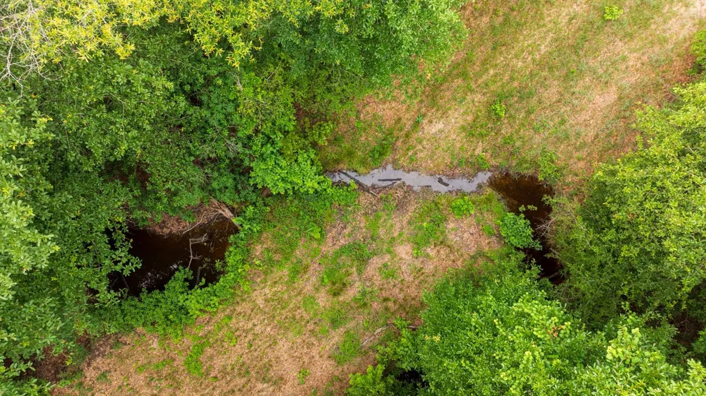 Fm 770 Kountze, TX 77625