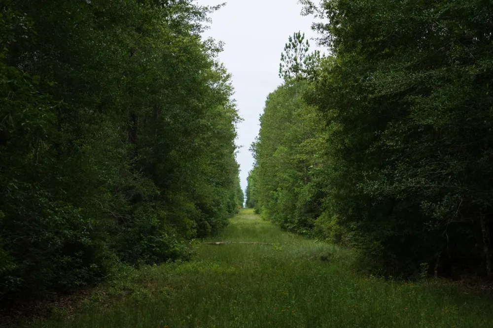 Fm 770 Kountze, TX 77625