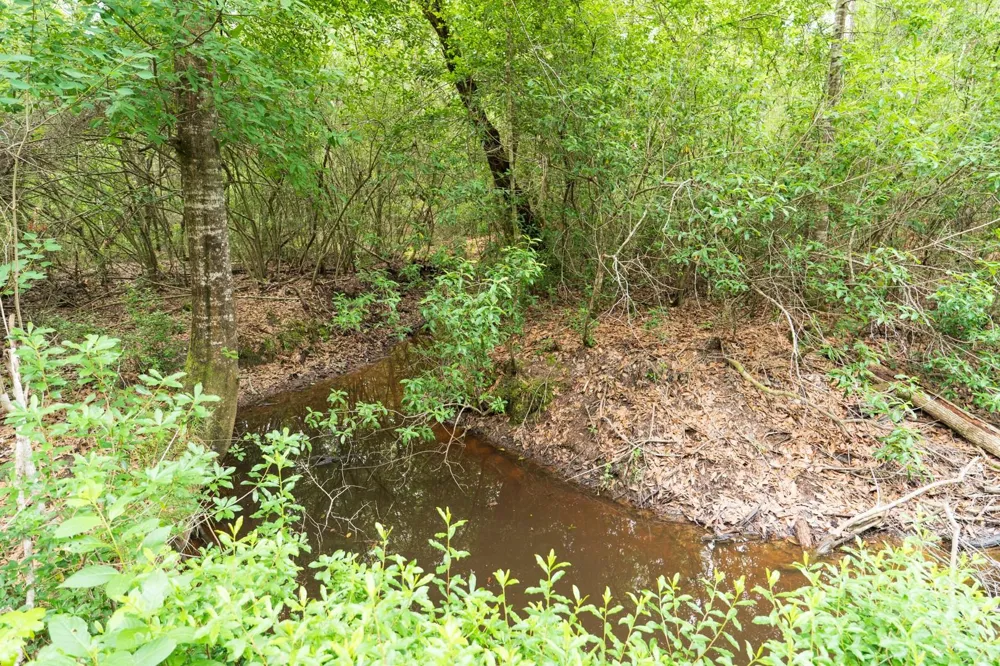 Fm 770 Kountze, TX 77625
