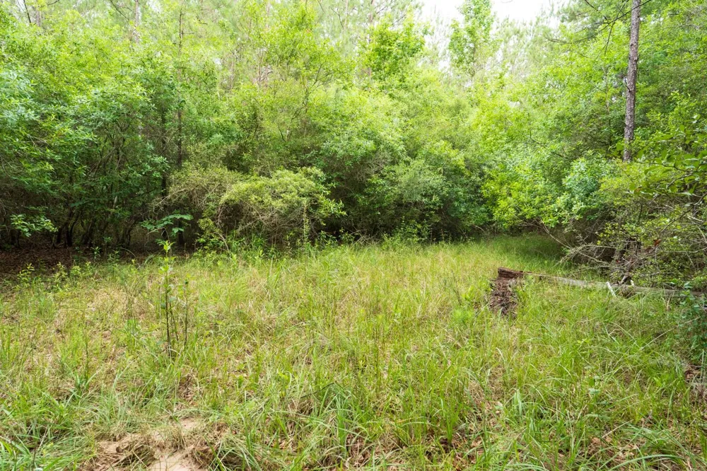 Fm 770 Kountze, TX 77625