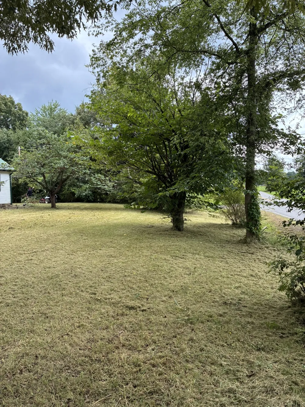 141 Hollow Springs Rd Woodbury, TN 37190