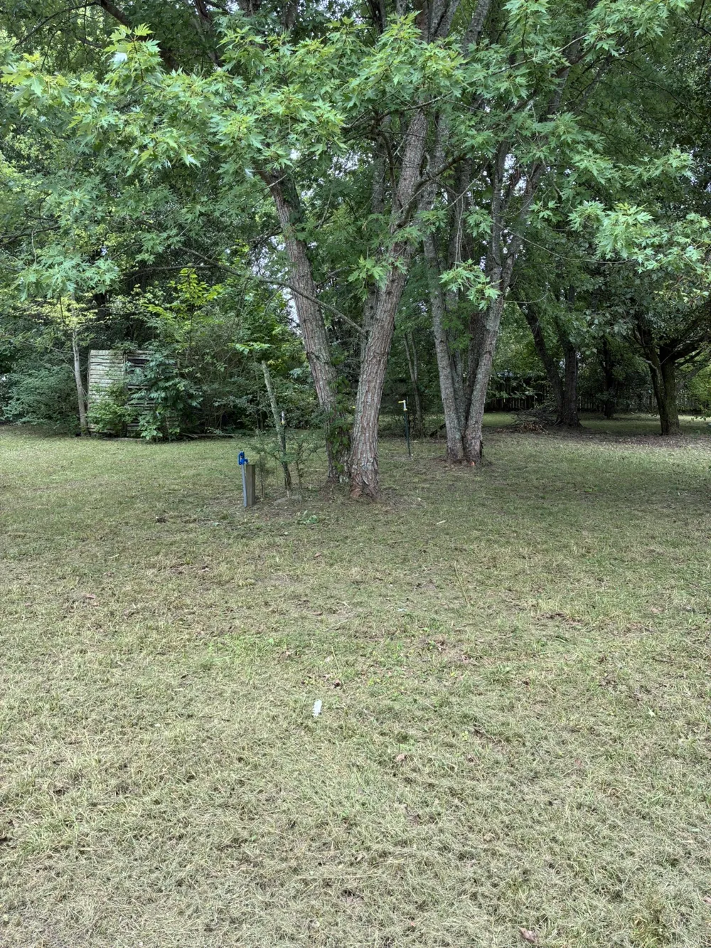 141 Hollow Springs Rd Woodbury, TN 37190