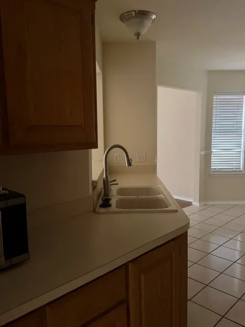 1511 Sunflower Lane Granbury, TX 76048