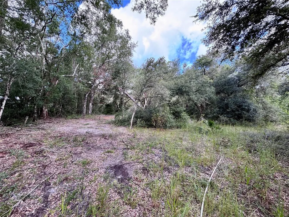 0 BEDROCK DRIVE Webster, FL 33597