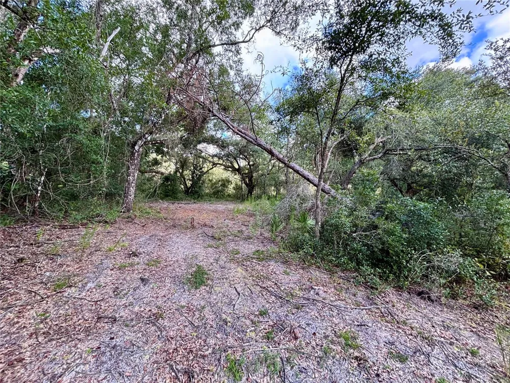 0 BEDROCK DRIVE Webster, FL 33597