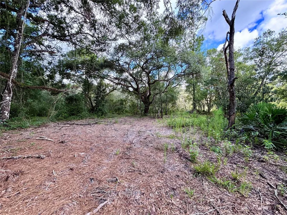 0 BEDROCK DRIVE Webster, FL 33597