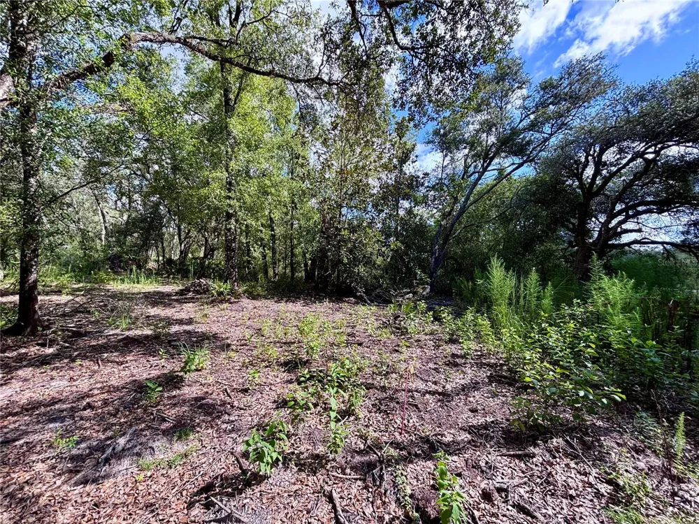 0 BEDROCK DRIVE Webster, FL 33597