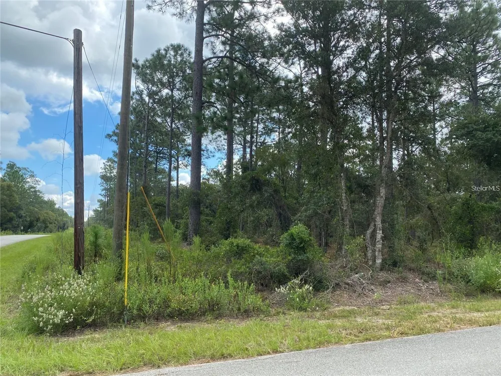 00 SW BUENA VISTA ROAD Dunnellon, FL 34431