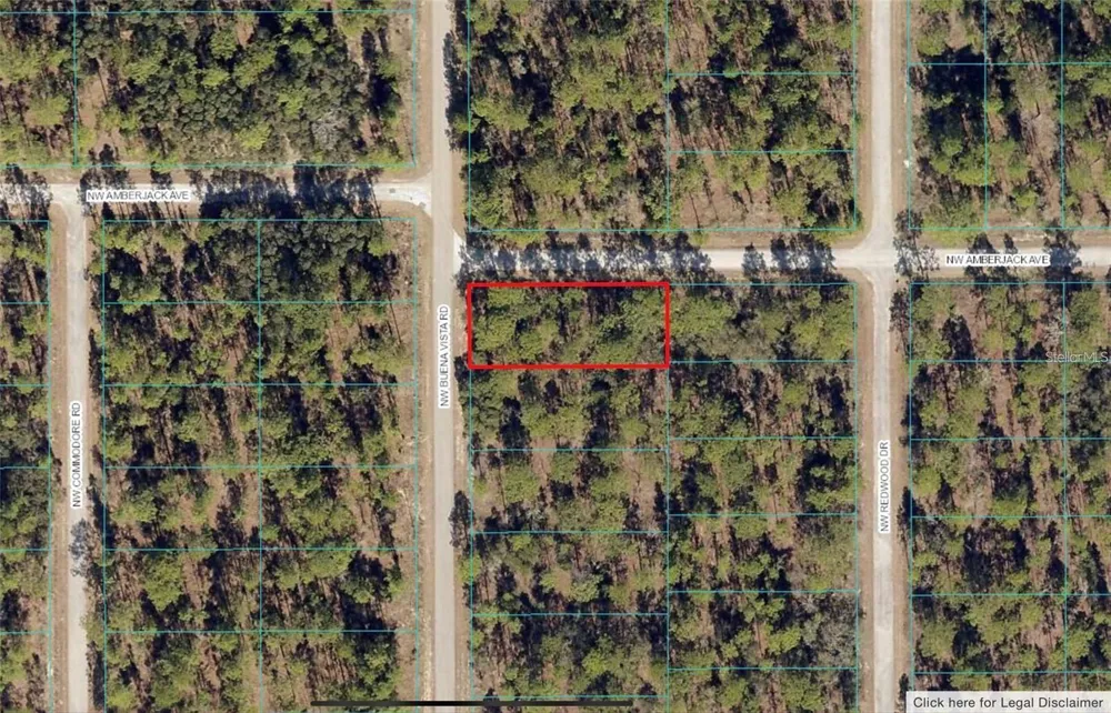 00 SW BUENA VISTA ROAD Dunnellon, FL 34431