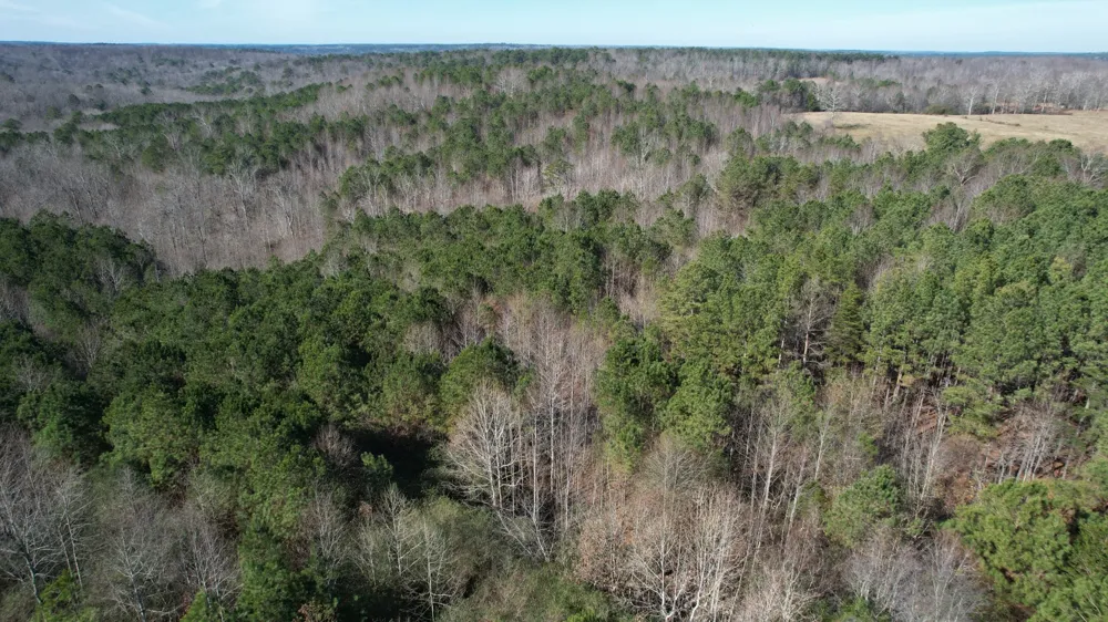 0 County Road 41 Addison, AL 35540