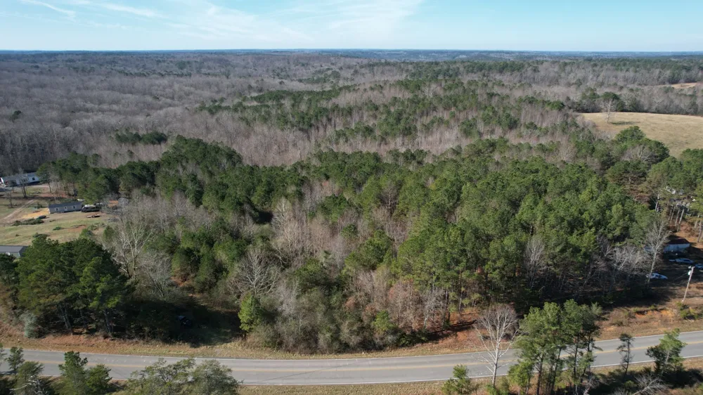0 County Road 41 Addison, AL 35540