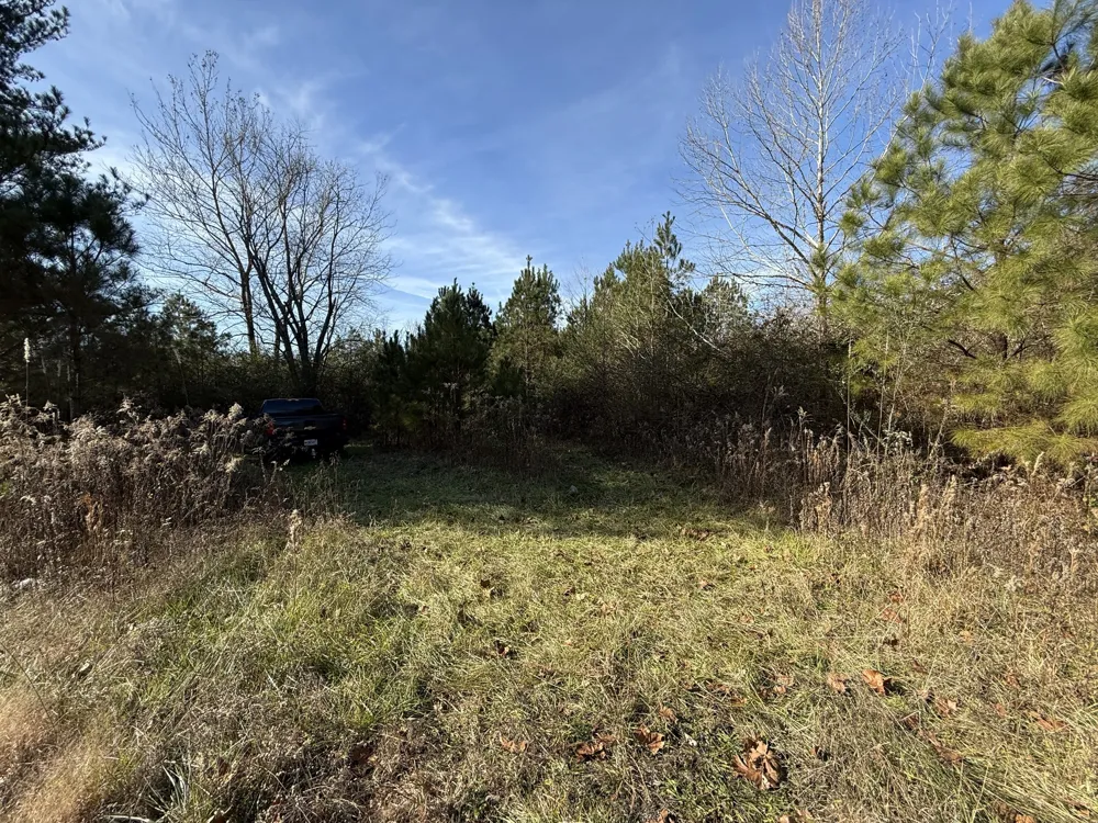 0 County Road 41 Addison, AL 35540