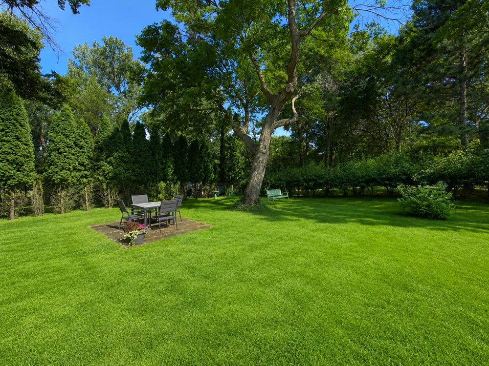 801 8th Avenue NE Little Falls, MN 56345