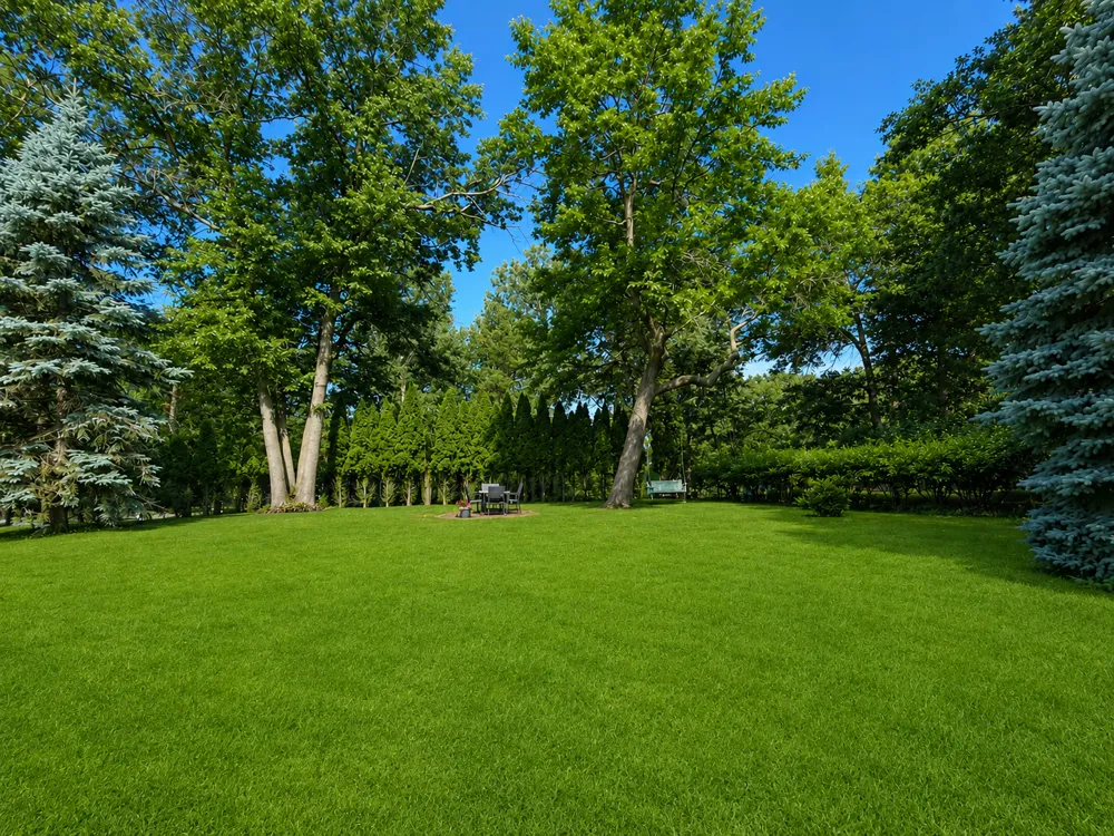 801 8th Avenue NE Little Falls, MN 56345