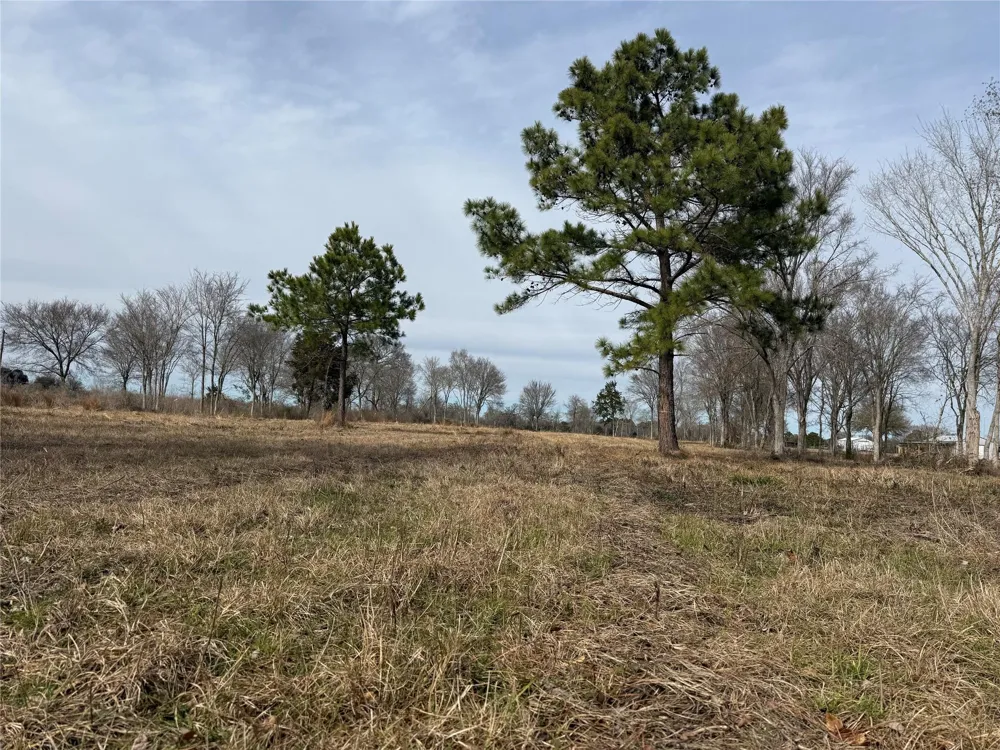 32186 Howell Road Waller, TX 77484